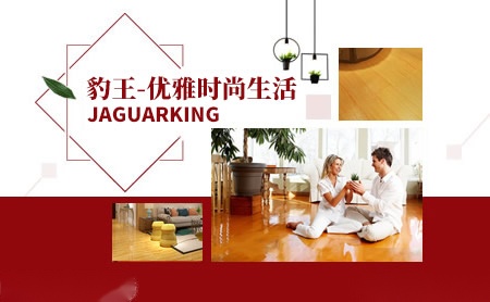 豹王jaguarking怎么样