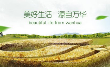 wanhua万华怎么样