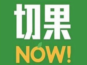 切果now怎么样