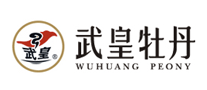 武皇牡丹wuhuang peony怎么样